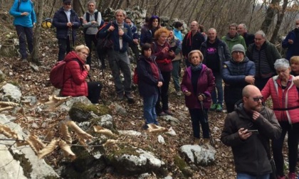 Boom di visite alla Stonehenge di Soccher: oltre 200 persone da tutto il Veneto