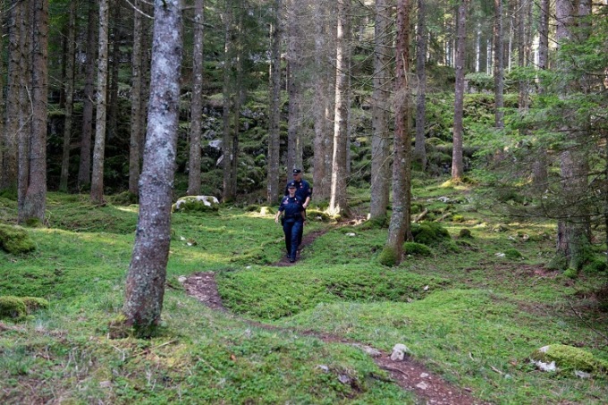 Giornata internazionale delle foreste, il prefetto: “Il legname del Cadore fondamentale per Venezia”
