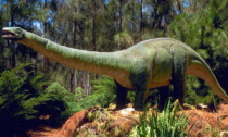 Altro che Jurassic Park! Il piccolo Yari gioca in giardino e trova un vero dente di dinosauro