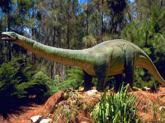 Altro che Jurassic Park! Il piccolo Yari gioca in giardino e trova un vero dente di dinosauro