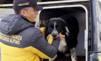 Perde il cane a Cortina: la Guardia di Finanza lo ritrova in fondo a un dirupo