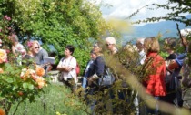Il giardino del Museo etnografico Dolomiti (a Cesiomaggiore) sta rifiorendo