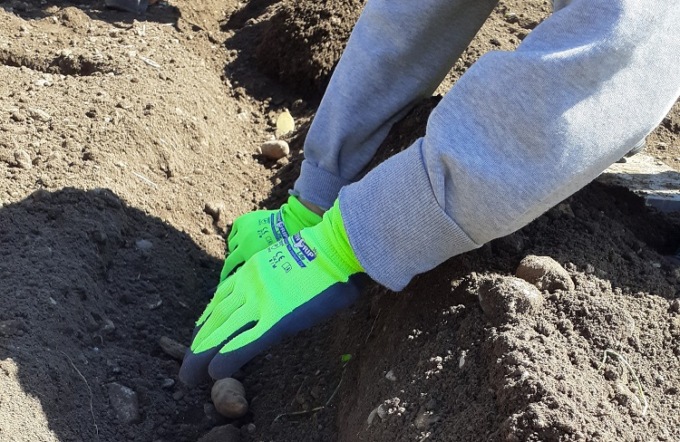 Integrazione e inclusività: riparte l’orto sociale a Belluno