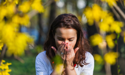 300 allergie analizzate con un solo prelievo del sangue. Il test di ultima generazione arriva a Belluno