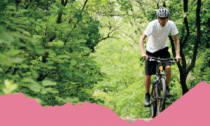 Cansiglio bike day: iscrizioni aperte per la gara amatoriale nei boschi della Serenissima