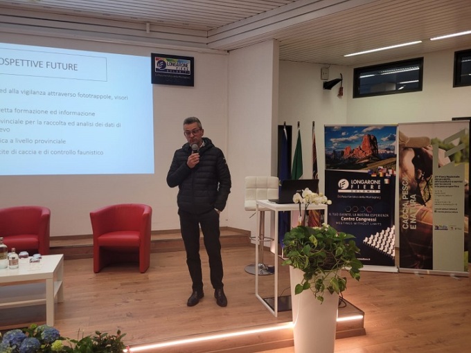 Abbattuti 574 cinghiali nel Bellunese: “La fauna selvatica rappresenta una criticità”