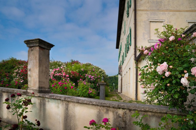 Cosa fare a Belluno e provincia nel weekend: gli eventi di sabato 13 e domenica 14 maggio 2023
