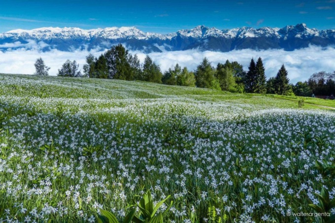 Cosa fare a Belluno e provincia nel weekend: gli eventi di sabato 3 e domenica 4 giugno 2023