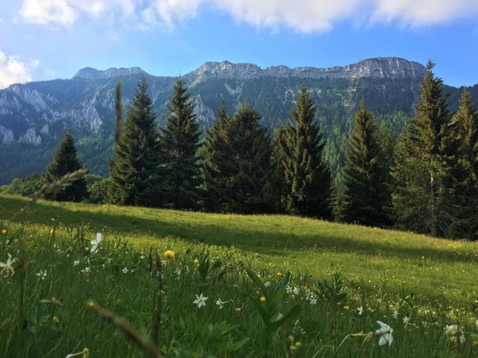 Cosa fare a Belluno e provincia nel weekend: gli eventi di sabato 1 e domenica 2 luglio 2023