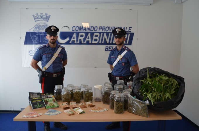 Scoperta una famiglia di Mel dedita allo spaccio: in casa marijuana, hashish e migliaia di euro