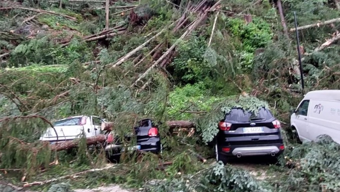Firmato lo stato di emergenza per il Bellunese: registrate raffiche di vento a 140 km/h