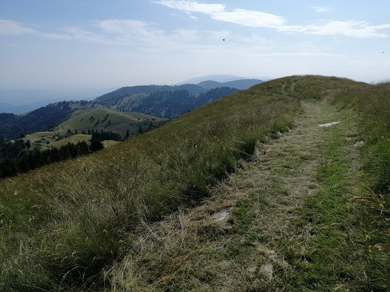 sentiero in cresta falciato