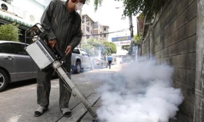 Dengue a Feltre, le zone e gli orari in cui rimanere chiusi in casa