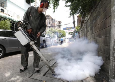 Dengue a Feltre, le zone e gli orari in cui rimanere chiusi in casa
