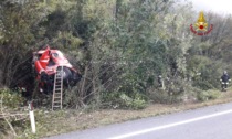 Il cervo sfonda la cabina di guida del camion che si rovescia: morto il 35enne Manuel Favaro