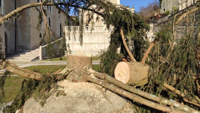 Atto vandalico a Feltre, abbattuto con la motosega l’albero di Natale