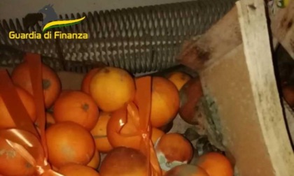 Sequestrati oltre 3 quintali di frutta, verdura e latticini avariati: nei guai un’impresa cadorina