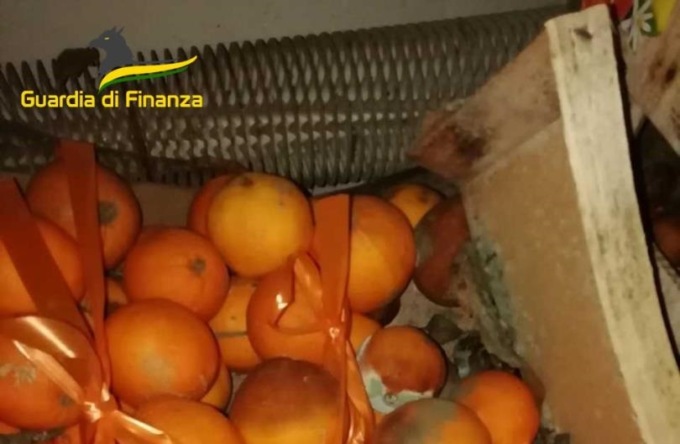 Sequestrati oltre 3 quintali di frutta, verdura e latticini avariati: nei guai un’impresa cadorina