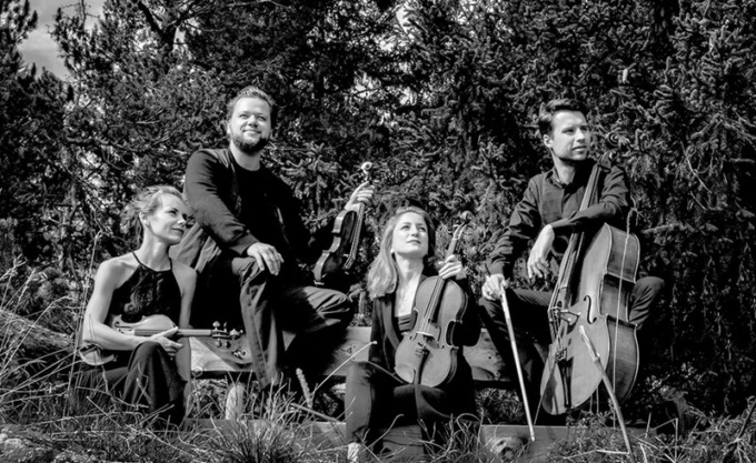 Musica classica Belluno: due concerti imperdibili con le opere di Mozart, Bach, Čajkovskij e Dvořák