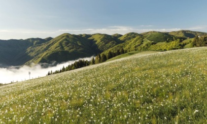 Cosa fare a Belluno e provincia nel weekend: gli eventi di sabato 11 e domenica 12 maggio 2024