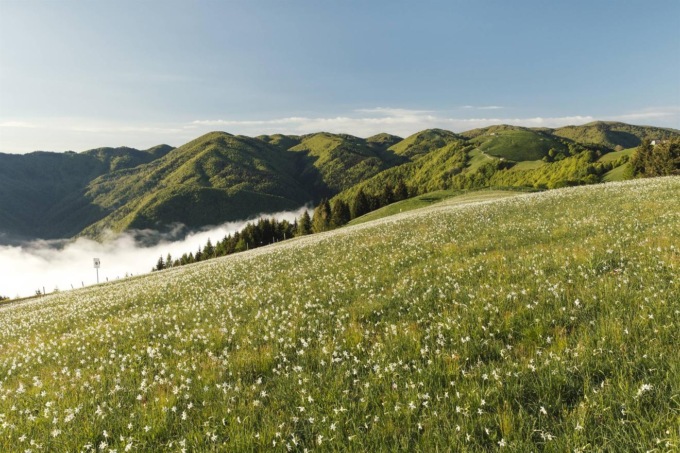 Cosa fare a Belluno e provincia nel weekend: gli eventi di sabato 11 e domenica 12 maggio 2024