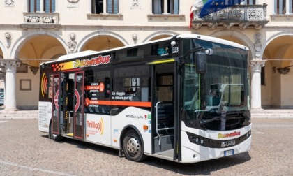 Servizio a chiamata Trillo di Dolomitibus, tutto quello che c’è da sapere