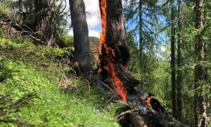 Fulmine colpisce larice vicino al rifugio Venezia e partono le fiamme