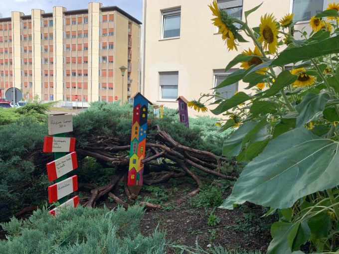 Ospedale di Feltre abbellito dai girasoli regalati da un paziente