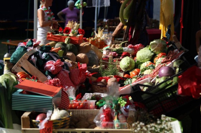 Cosa fare a Belluno e provincia nel weekend: gli eventi di sabato 14 e domenica 15 settembre 2024