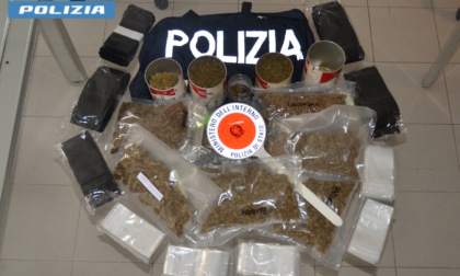 Arrestato 64enne a Feltre per un chilo di marijuana nascosto tra soggiorno e ripostiglio