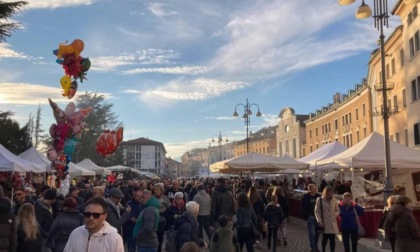 Cosa fare a Belluno e provincia nel weekend: gli eventi di sabato 16 e domenica 17 novembre 2024