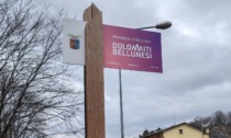 “Dolomiti bellunesi”, installati 11 cartelli ai confini della provincia per evitare malintesi