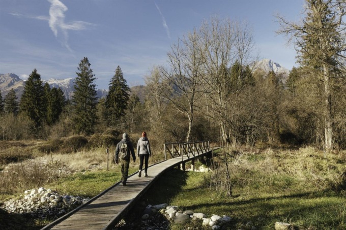 Cosa fare a Belluno e provincia nel weekend: gli eventi di sabato 18 e domenica 19 gennaio 2025