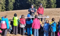 Dalla fauna selvatica alle valanghe: 180 bambini a scuola dai carabinieri forestali