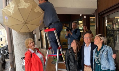 Belluno città delle rondini, ecco le iniziative per i 10 anni del censimento dei nidi