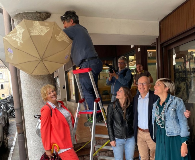 Dieci anni con le rondini: Belluno celebra il suo simbolo di biodiversità