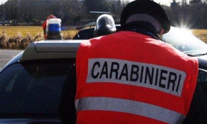 Feltre, vede i carabinieri e lancia la cocaina nella siepe: arrestato 33enne albanese