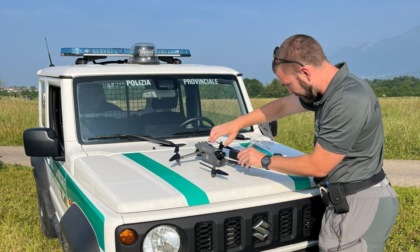 Droni e tecnologie smart per salvare i caprioli: la Provincia di Belluno finanzia un progetto innovativo