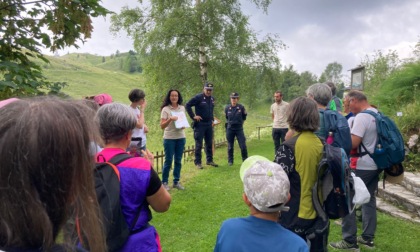 Alla scoperta della biodiversità alpina: al via gli incontri estivi del Reparto Carabinieri Biodiversità di Belluno