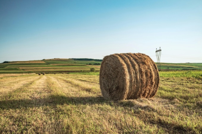 Travolto da una balla di fieno nella sua azienda agricola: muore 67enne a Borgo Valbelluna