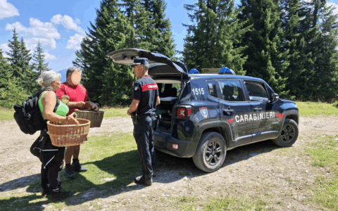 Belluno, sequestrati 100 kg di porcini: multe per oltre 10mila euro