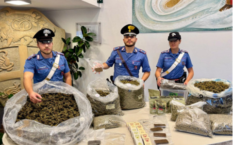 Pedavena, maxi sequestro di droga in azienda agricola: arrestato il titolare