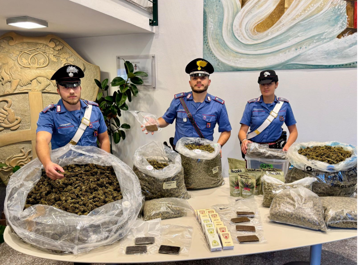 Pedavena, maxi sequestro di droga in azienda agricola: arrestato il titolare