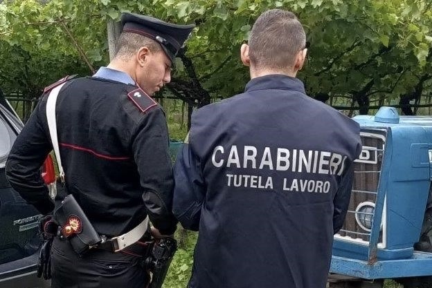 Lavoro nero e sicurezza: 170 mila euro di multe e 14 aziende irregolari nel Bellunese