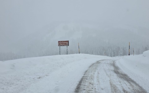 Neve sopra gli 800 metri: fino a 35 centimetri nel Bellunese, chiuse alcune strade provinciali
