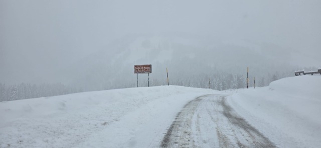 Neve sopra gli 800 metri: fino a 35 centimetri nel Bellunese, chiuse alcune strade provinciali