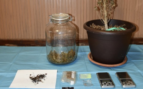 Dalla marijuana all’LSD: scoperto un “campionario” di droga in un’abitazione di Belluno